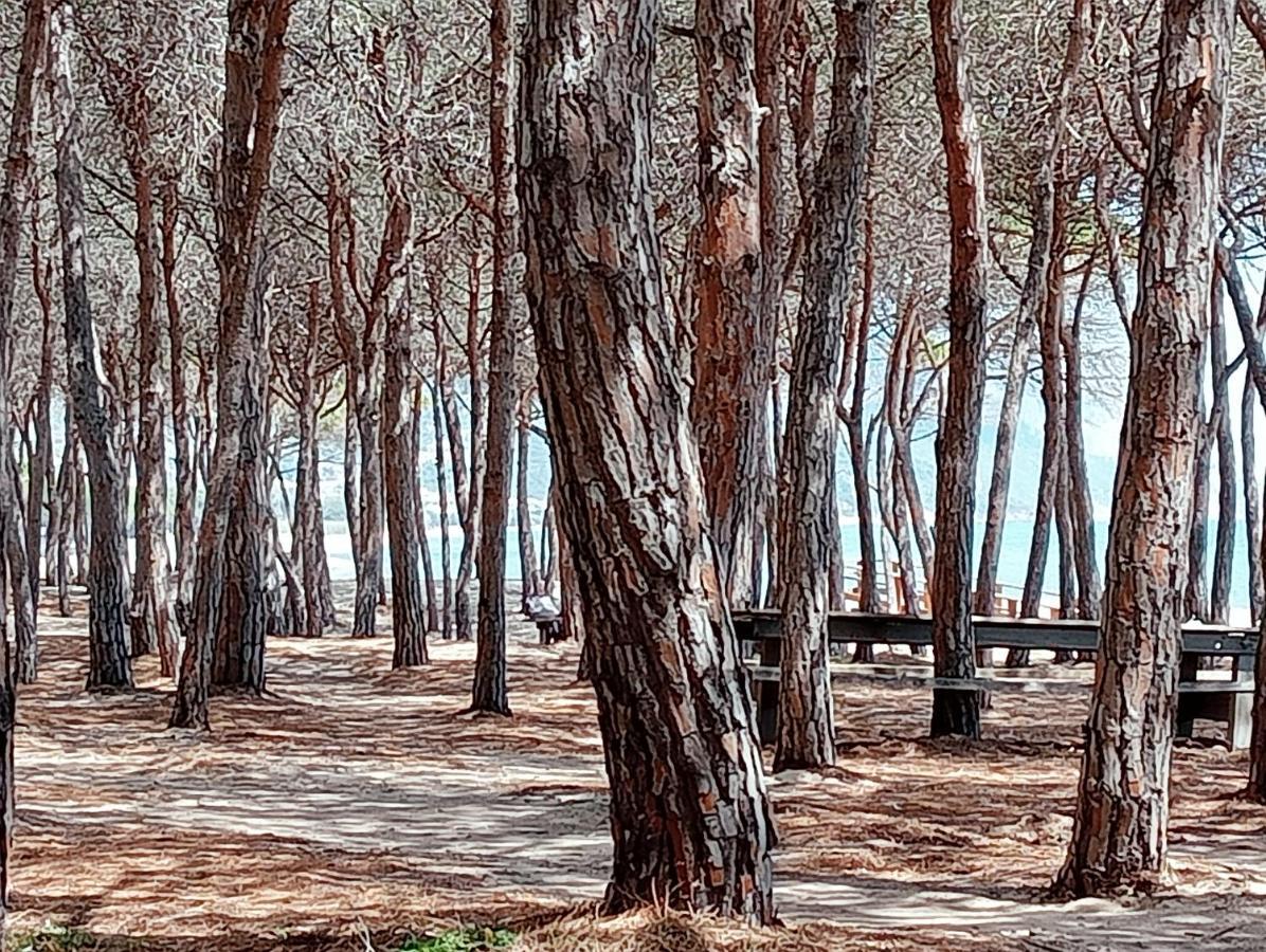 Locanda D'Ogliastra, Triei Εξωτερικό φωτογραφία