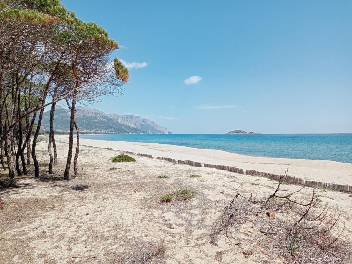 Locanda D'Ogliastra, Triei Εξωτερικό φωτογραφία