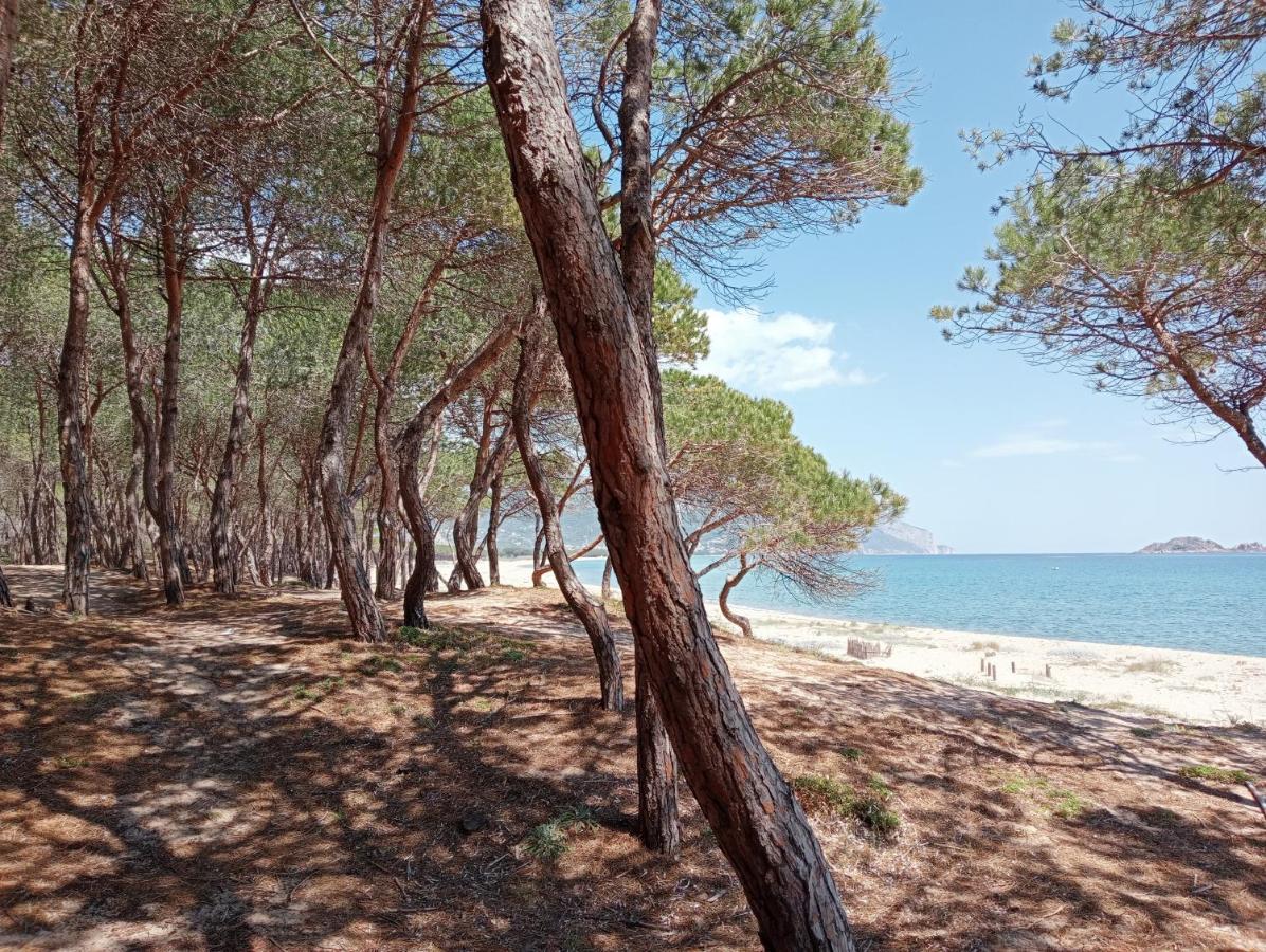 Locanda D'Ogliastra, Triei Εξωτερικό φωτογραφία