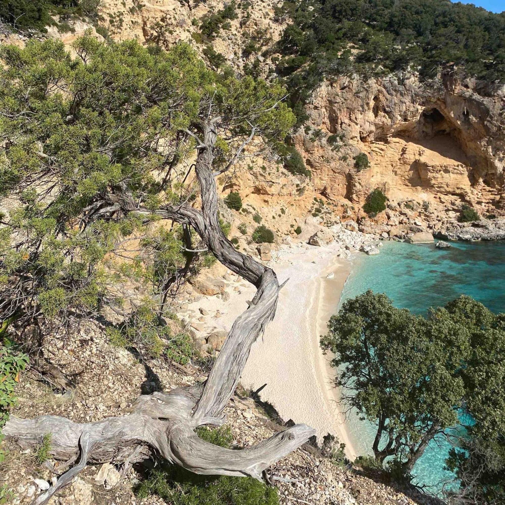 Locanda D'Ogliastra, Triei Εξωτερικό φωτογραφία